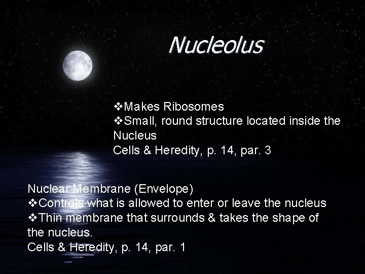 Nucleolus v. Makes Ribosomes v. Small, round structure located inside the Nucleus Cells &