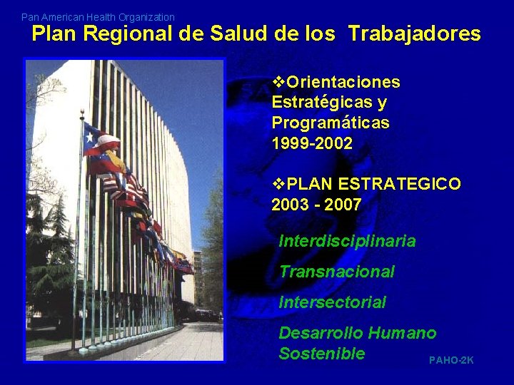 Pan American Health Organization Plan Regional de Salud de los Trabajadores v. Orientaciones Estratégicas