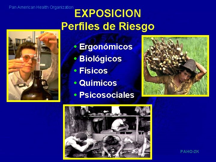 Pan American Health Organization EXPOSICION Perfiles de Riesgo • Ergonómicos • Biológicos • Físicos