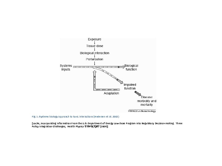 Fig. 1. Systems biology approach to toxic interactions (Andersen et al. 2005) [Locke, Incorporating Fig. 1. Systems biology approach to toxic interactions (Andersen et al. 2005) [Locke, Incorporating