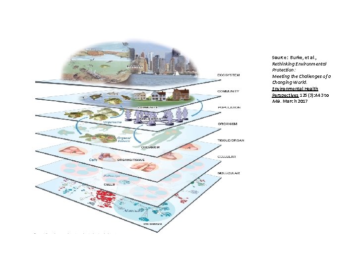 Source: Burke, et al. , Rethinking Environmental Protection: Meeting the Challenges of a Changing Source: Burke, et al. , Rethinking Environmental Protection: Meeting the Challenges of a Changing