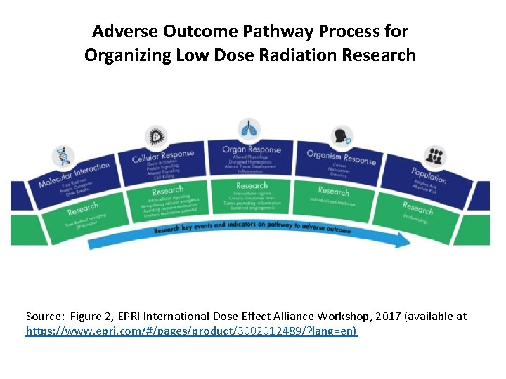 Adverse Outcome Pathway Process for Organizing Low Dose Radiation Research Source: Figure 2, EPRI Adverse Outcome Pathway Process for Organizing Low Dose Radiation Research Source: Figure 2, EPRI