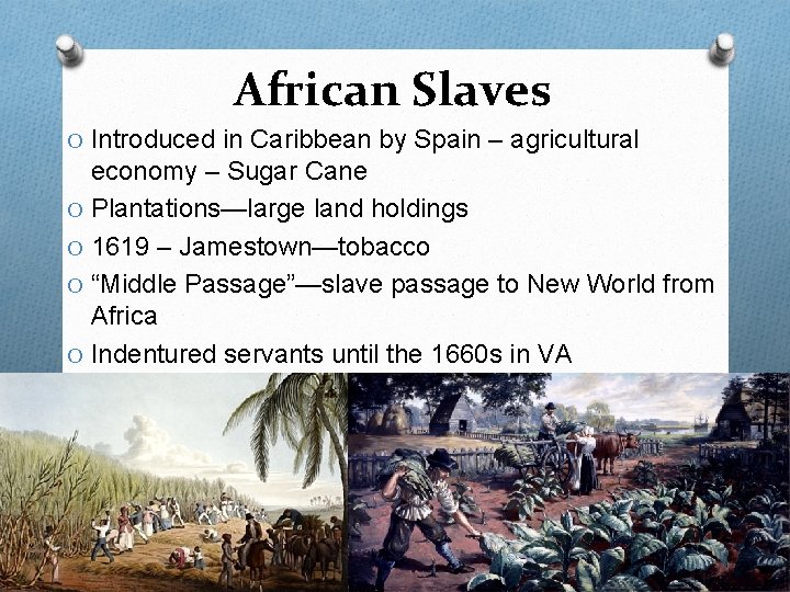 African Slaves O Introduced in Caribbean by Spain – agricultural economy – Sugar Cane