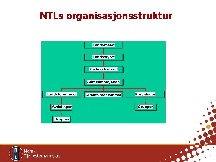 NTLs organisasjonsstruktur 