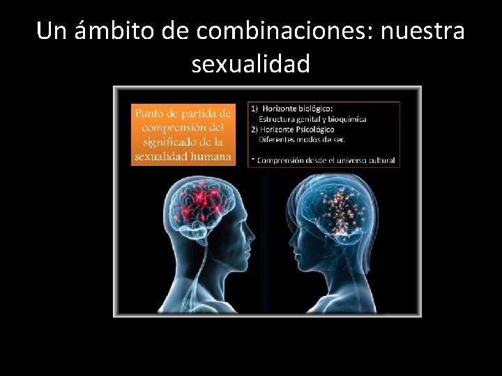 Un ámbito de combinaciones: nuestra sexualidad 