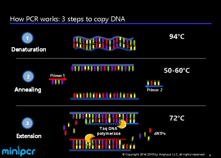 Science for everyone everywhere DNA amplification and analysis