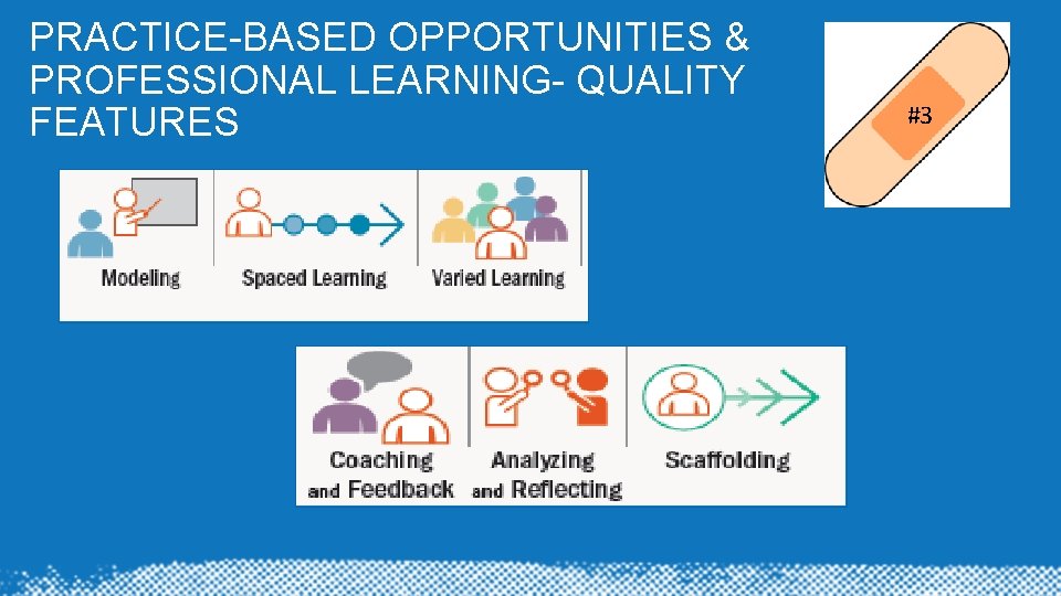 PRACTICE-BASED OPPORTUNITIES & PROFESSIONAL LEARNING- QUALITY FEATURES #3 