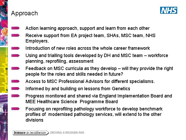 Approach Action learning approach, support and learn from each other Receive support from EA