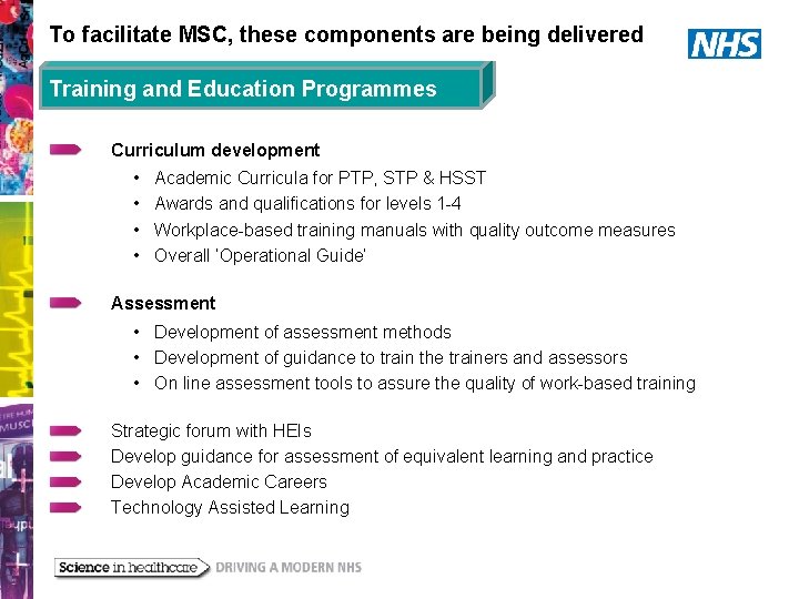 To facilitate MSC, these components are being delivered Training and Education Programmes Curriculum development