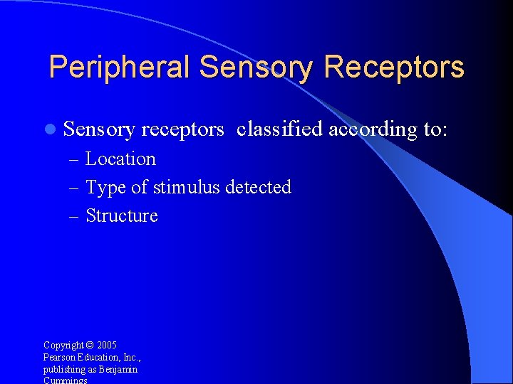 Peripheral Sensory Receptors l Sensory receptors classified according to: – Location – Type of