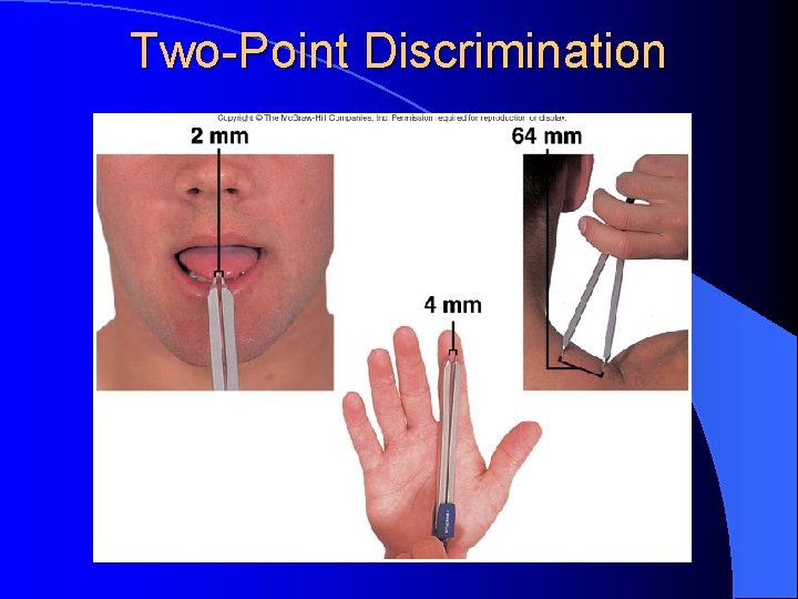 Two-Point Discrimination 