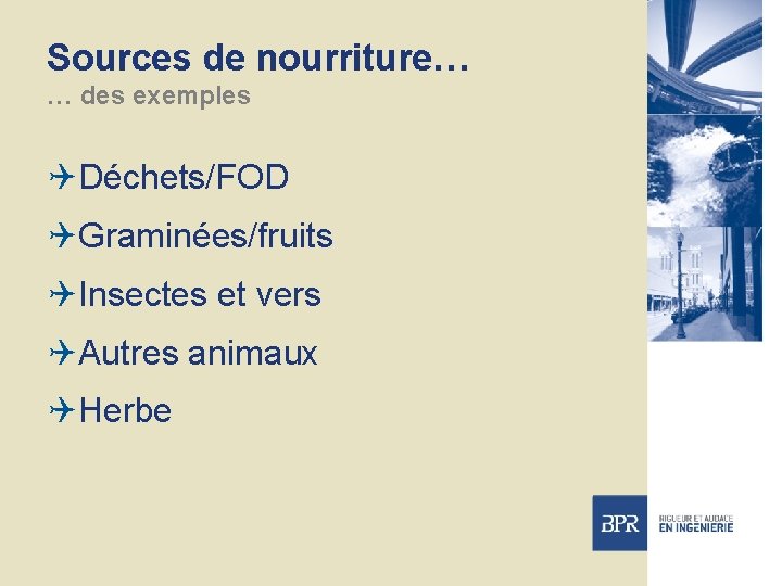 Sources de nourriture… … des exemples QDéchets/FOD QGraminées/fruits QInsectes et vers QAutres animaux QHerbe