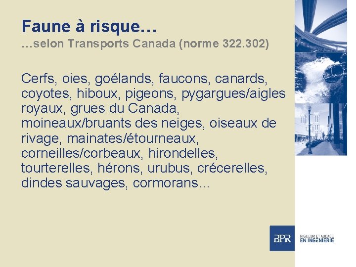 Faune à risque… …selon Transports Canada (norme 322. 302) Cerfs, oies, goélands, faucons, canards,