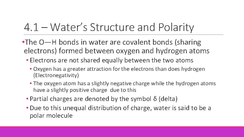 4. 1 – Water’s Structure and Polarity • The O—H bonds in water are