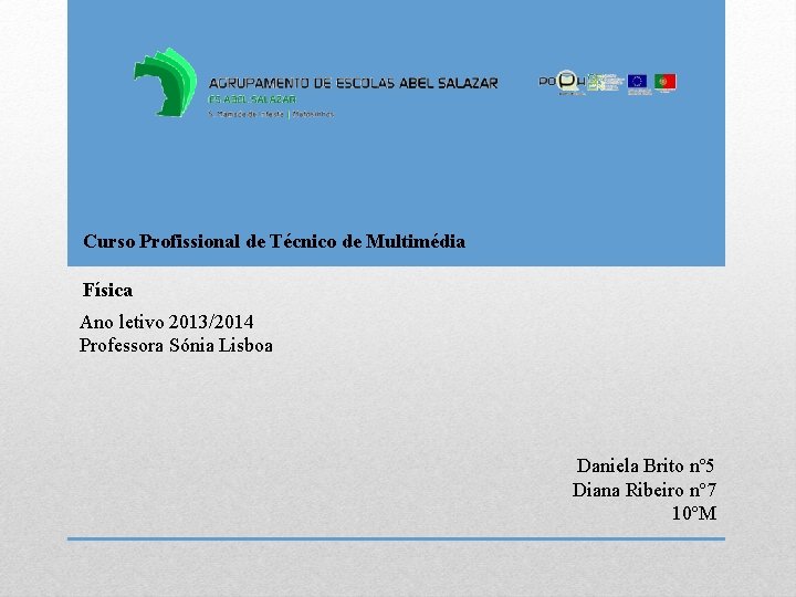 Curso Profissional de Técnico de Multimédia Física Ano letivo 2013/2014 Professora Sónia Lisboa Daniela