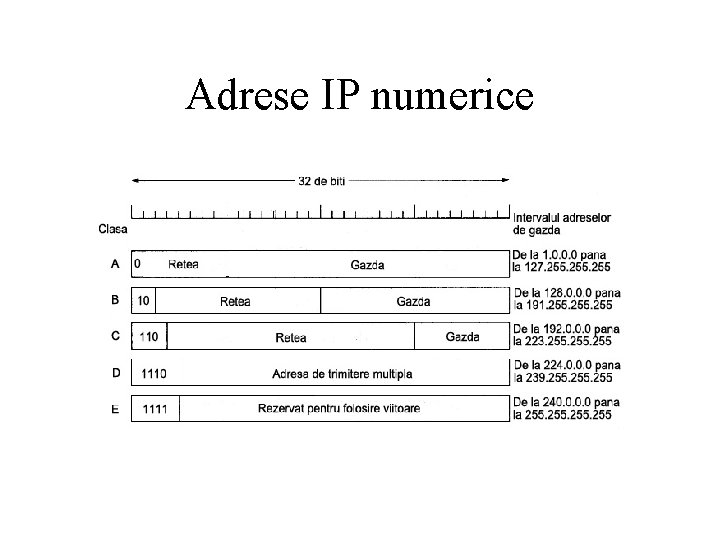 Adrese IP numerice 