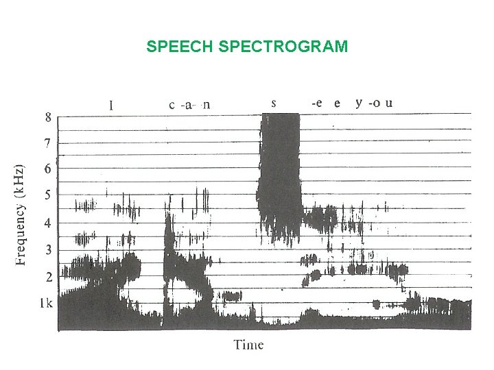 SPEECH SPECTROGRAM 