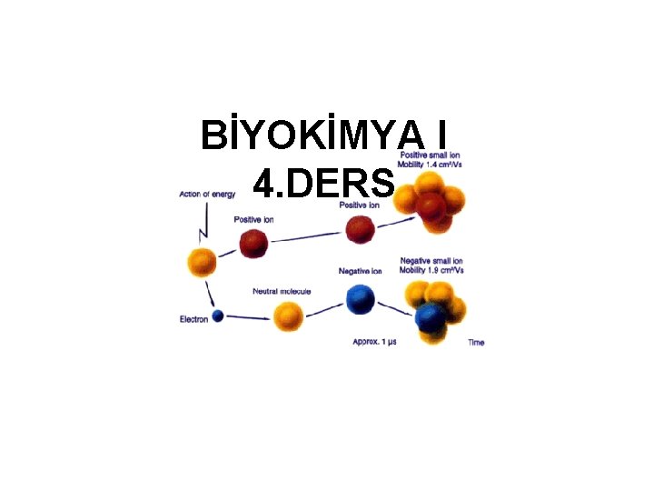 BİYOKİMYA I 4. DERS 