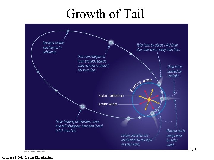 Growth of Tail 29 Copyright © 2012 Pearson Education, Inc. 