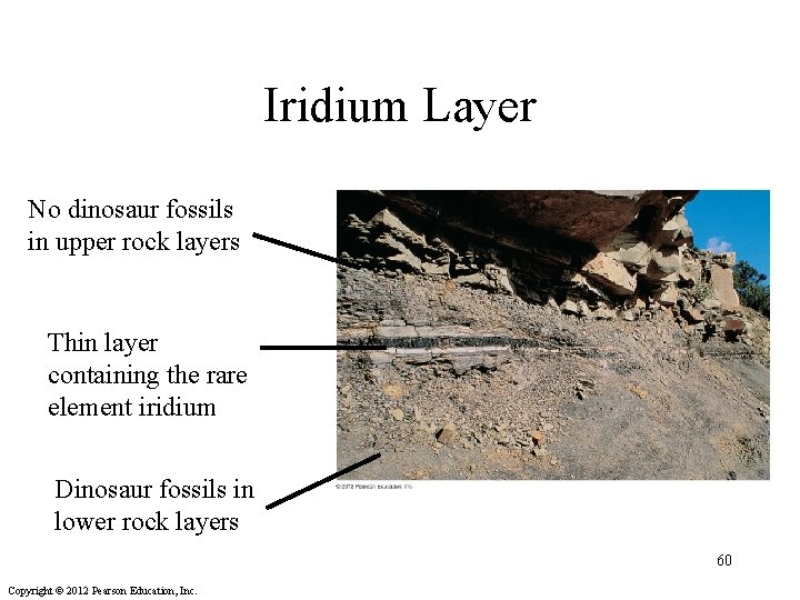 Iridium Layer No dinosaur fossils in upper rock layers Thin layer containing the rare