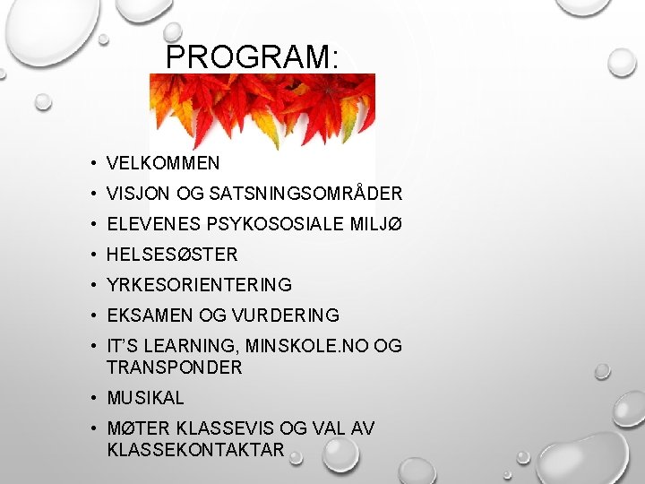 PROGRAM: • VELKOMMEN • VISJON OG SATSNINGSOMRÅDER • ELEVENES PSYKOSOSIALE MILJØ • HELSESØSTER •