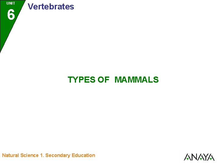 UNIT 6 Vertebrates TYPES OF MAMMALS Natural Science 1. Secondary Education 