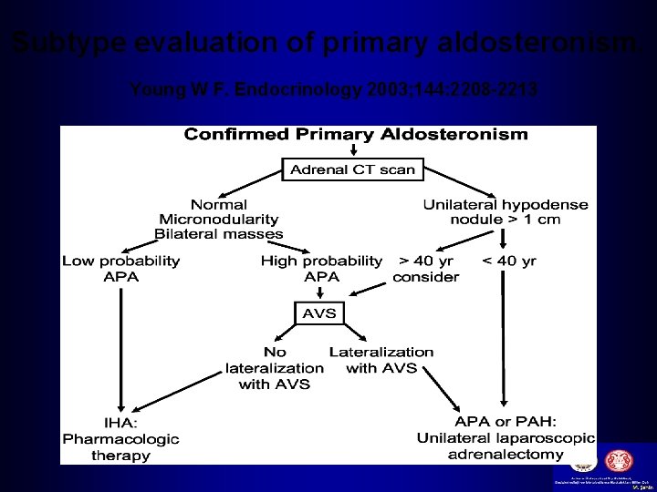 Subtype evaluation of primary aldosteronism. Young W F. Endocrinology 2003; 144: 2208 -2213 