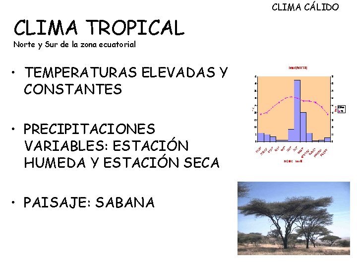 CLIMA TROPICAL Norte y Sur de la zona ecuatorial • TEMPERATURAS ELEVADAS Y CONSTANTES