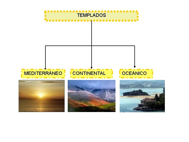 TEMPLADOS MEDITERRÁNEO CONTINENTAL OCEÁNICO 