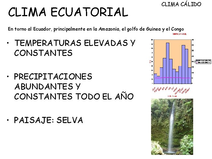 CLIMA ECUATORIAL CLIMA CÁLIDO En torno al Ecuador, principalmente en la Amazonia, el golfo