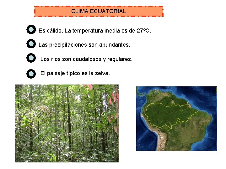 CLIMA ECUATORIAL Es cálido. La temperatura media es de 27ºC. Las precipitaciones son abundantes.