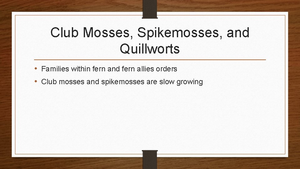 Club Mosses, Spikemosses, and Quillworts • Families within fern and fern allies orders •