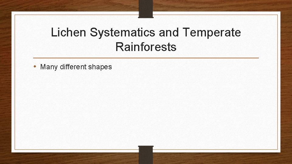 Lichen Systematics and Temperate Rainforests • Many different shapes 