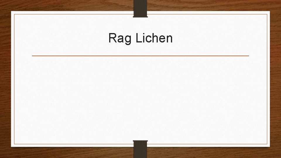 Rag Lichen 