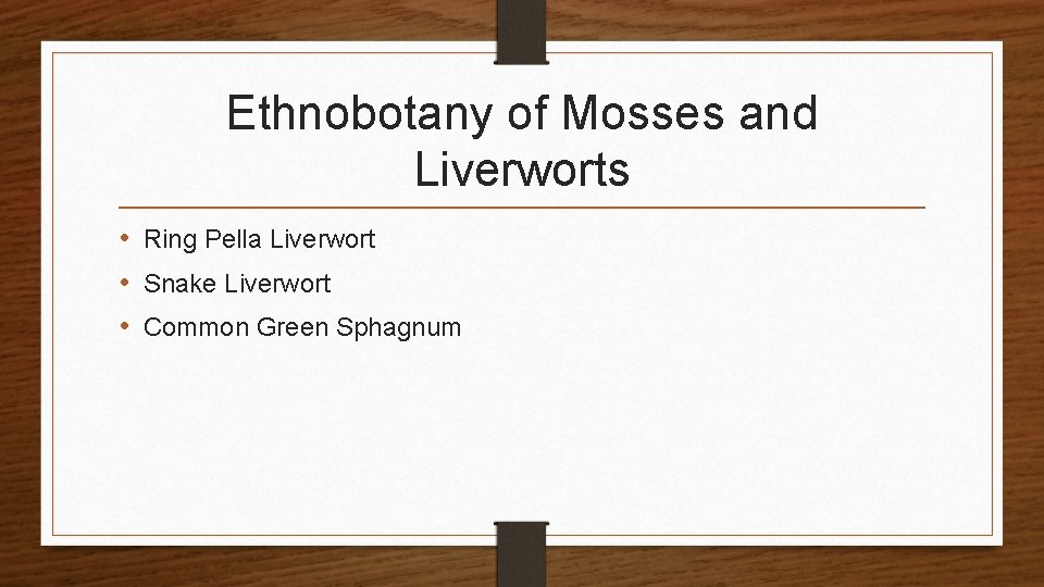 Ethnobotany of Mosses and Liverworts • Ring Pella Liverwort • Snake Liverwort • Common