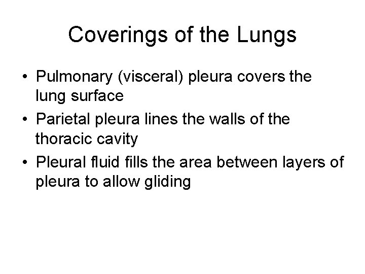 Coverings of the Lungs • Pulmonary (visceral) pleura covers the lung surface • Parietal