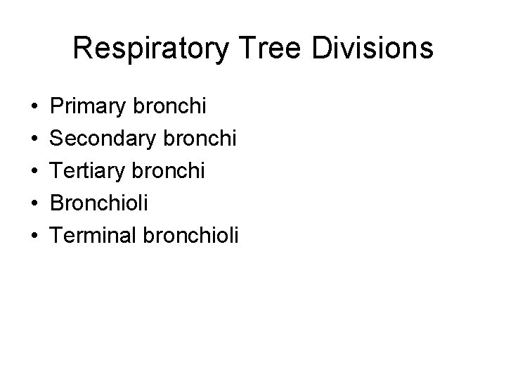 Respiratory Tree Divisions • • • Primary bronchi Secondary bronchi Tertiary bronchi Bronchioli Terminal