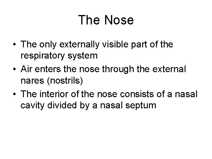 The Nose • The only externally visible part of the respiratory system • Air