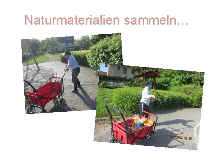 Naturmaterialien sammeln… 