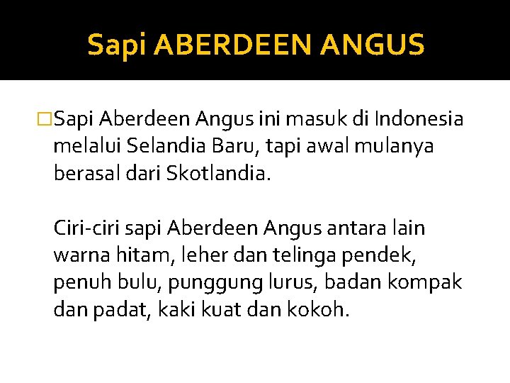 Sapi ABERDEEN ANGUS �Sapi Aberdeen Angus ini masuk di Indonesia melalui Selandia Baru, tapi