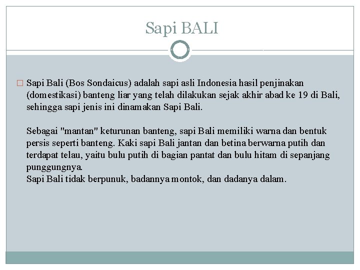 Sapi BALI � Sapi Bali (Bos Sondaicus) adalah sapi asli Indonesia hasil penjinakan (domestikasi)