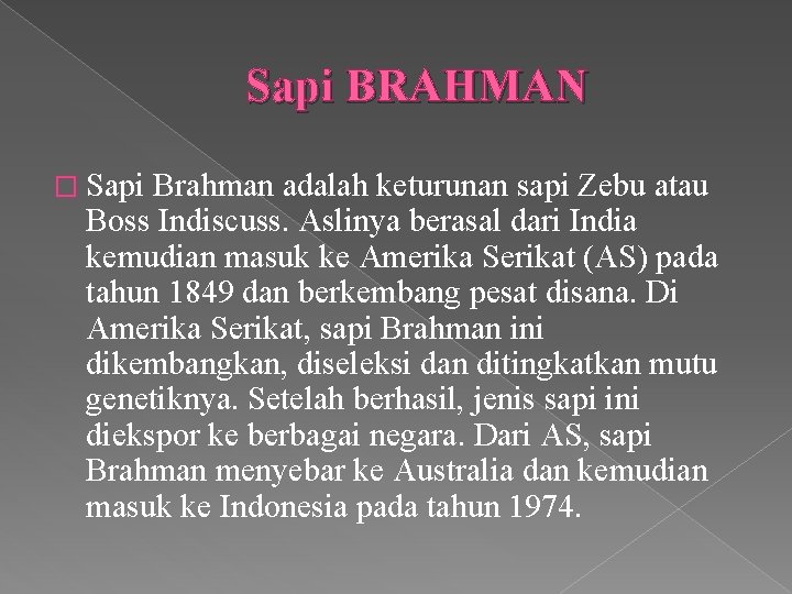 Sapi BRAHMAN � Sapi Brahman adalah keturunan sapi Zebu atau Boss Indiscuss. Aslinya berasal