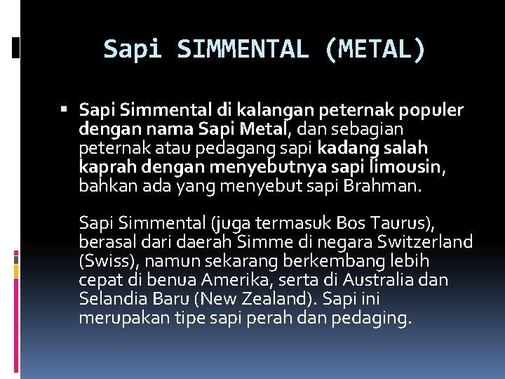 Sapi SIMMENTAL (METAL) Sapi Simmental di kalangan peternak populer dengan nama Sapi Metal, dan