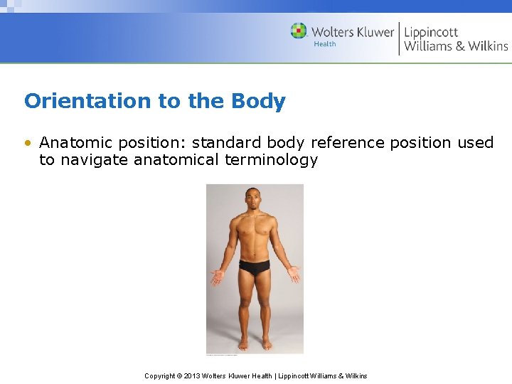 Chapter 2 The Body and Its Terminology Copyright