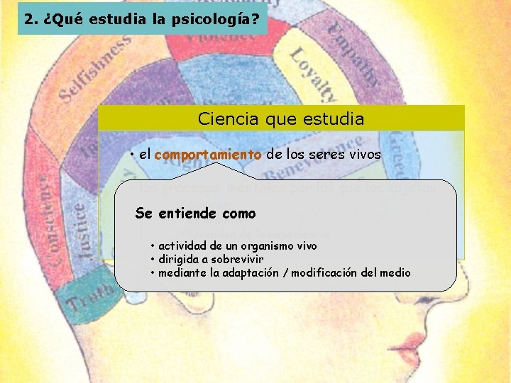 2. ¿Qué estudia la psicología? Ciencia que estudia • el comportamiento de los seres