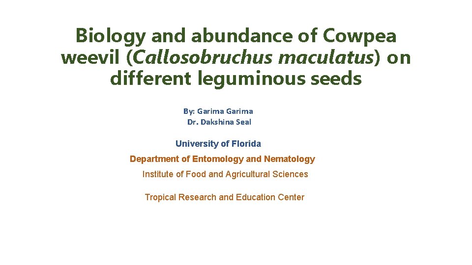 Biology and abundance of Cowpea weevil (Callosobruchus maculatus) on different leguminous seeds By: Garima
