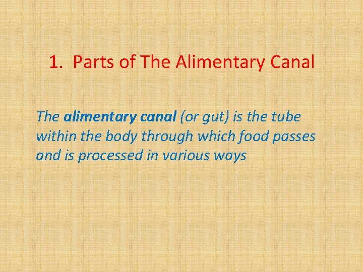 1. Parts of The Alimentary Canal The alimentary canal (or gut) is the tube