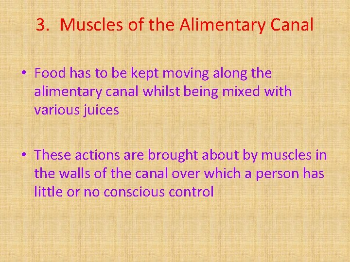 3. Muscles of the Alimentary Canal • Food has to be kept moving along