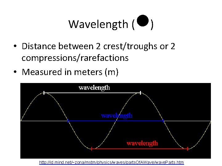 Wavelength ( l) • Distance between 2 crest/troughs or 2 compressions/rarefactions • Measured in Wavelength ( l) • Distance between 2 crest/troughs or 2 compressions/rarefactions • Measured in