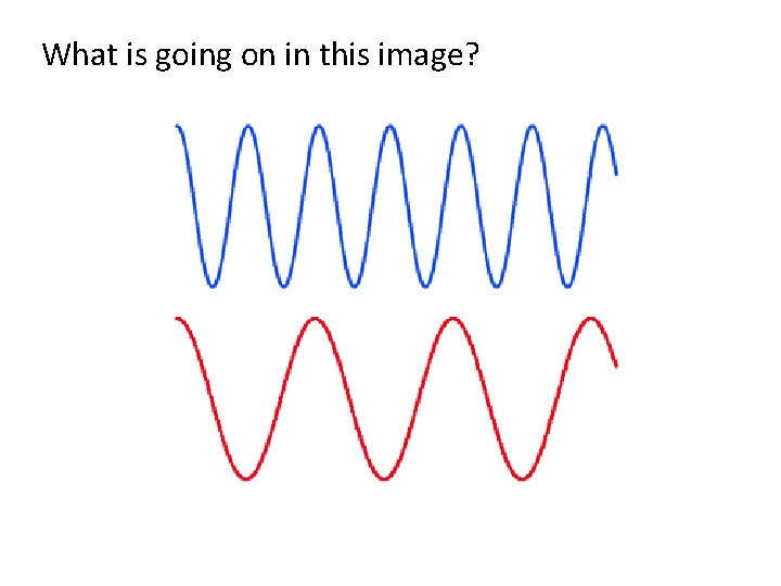 What is going on in this image? What is going on in this image?